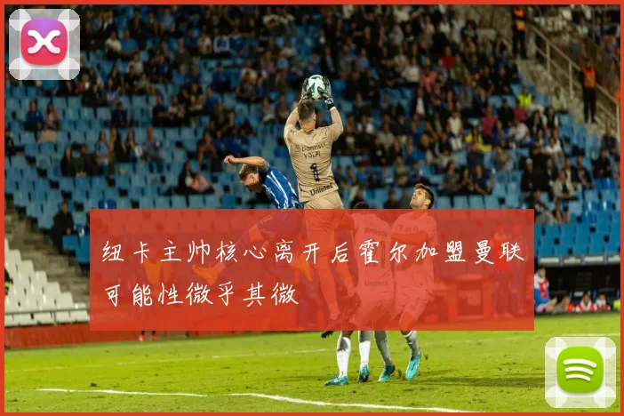 纽卡主帅核心离开后霍尔加盟曼联可能性微乎其微