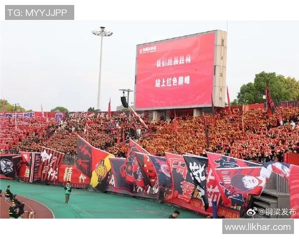 姚浩洋正式加盟重庆铜梁龙足球俱乐部开启新篇章助力球队征战新赛季